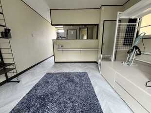 Pic11