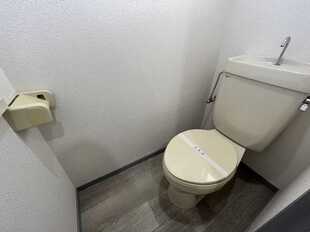 Pic3