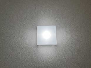 Pic19