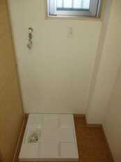 Pic11