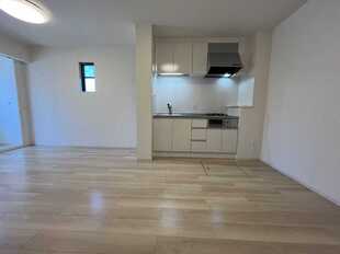 Pic1