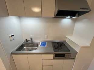 Pic3