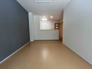 Pic1