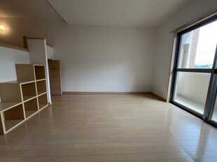 Pic1