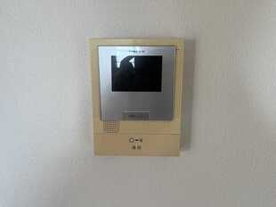 Pic15