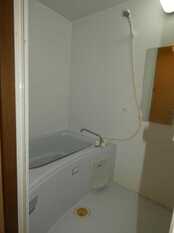 Pic5