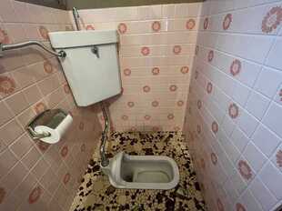 Pic15