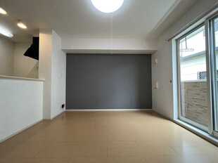 Pic11