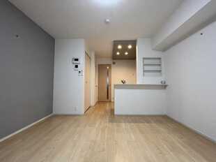 Pic13