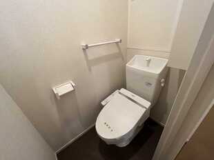 Pic7