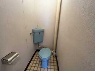 Pic7