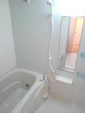 Pic3