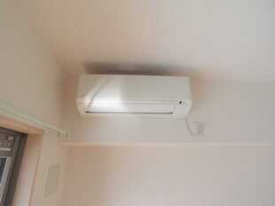 Pic11