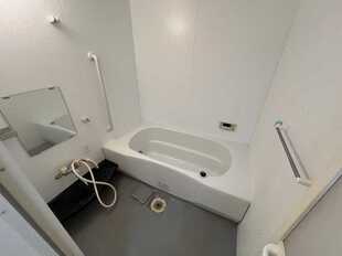 Pic5