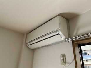 Pic11