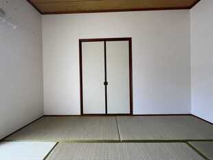 Pic11