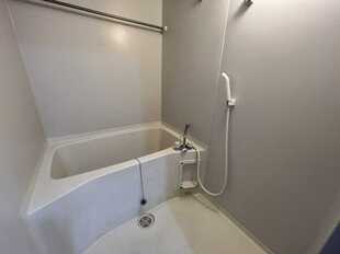 Pic7