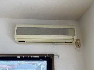 Pic15