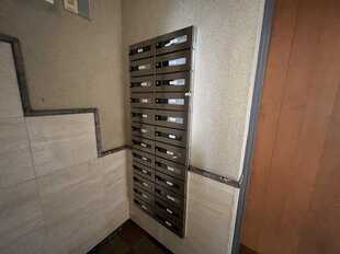Pic19