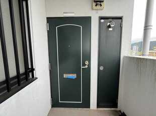 Pic1