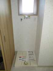 Pic11
