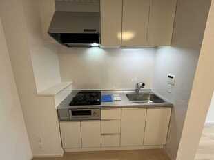 Pic3