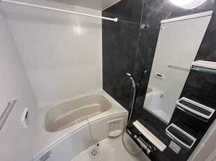 Pic5