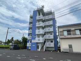 ◆桜小路五番館