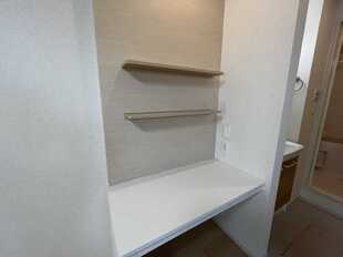 Pic11