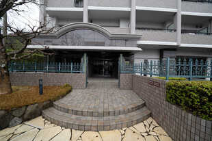 Pic15