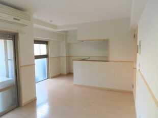 Pic1