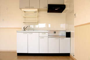 Pic1