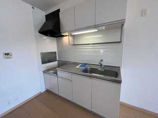 Pic8