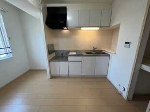Pic11