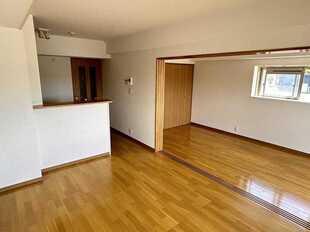 Pic1