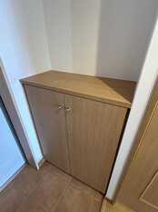 Pic11