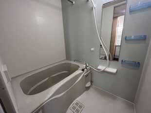 Pic21
