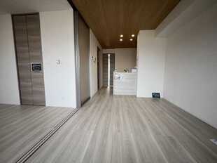 Pic1