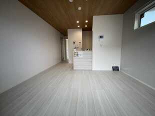 Pic1