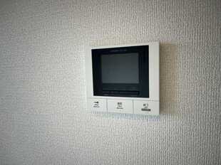 Pic19