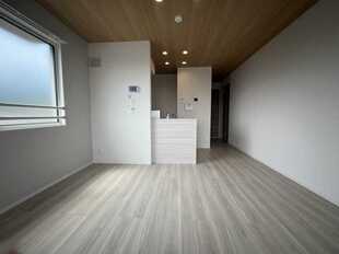 Pic1