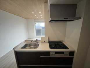 Pic3