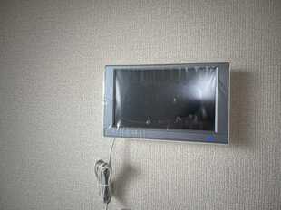 Pic19
