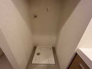 Pic11