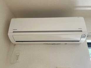 Pic20