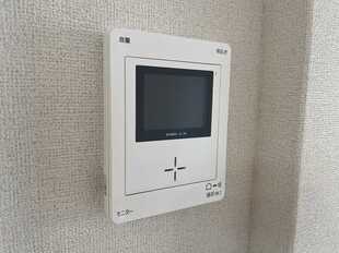 Pic21