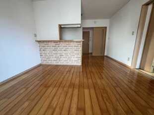 Pic1