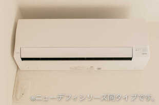 Pic11