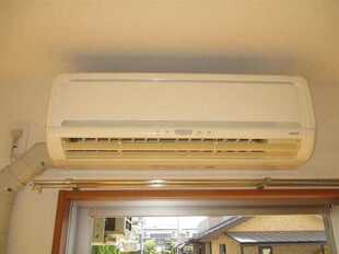 Pic15
