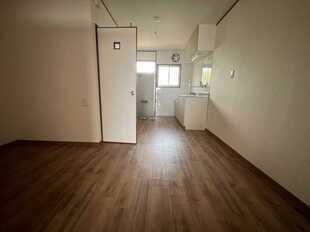 Pic1